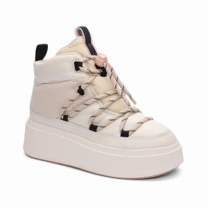 Ash Montana Puffy Nylon Winter Women Boots White | 033727-200