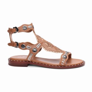Ash Paraiba Embellished Flat Women Sandals Brown | 570326-931